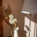 Bogolvar Retreat - для усамітнення 
