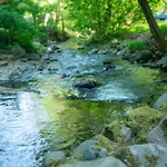 Bogolvar Retreat - для усамітнення 