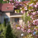 Bogolvar Retreat - для усамітнення 