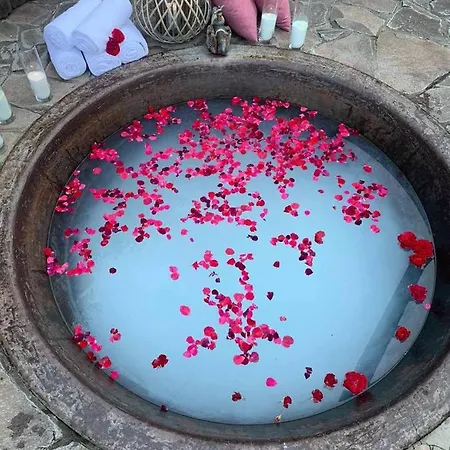 Hotel Bogolvar Retreat 3*