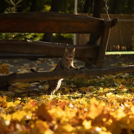 Bogolvar Retreat Отель Анталовцы