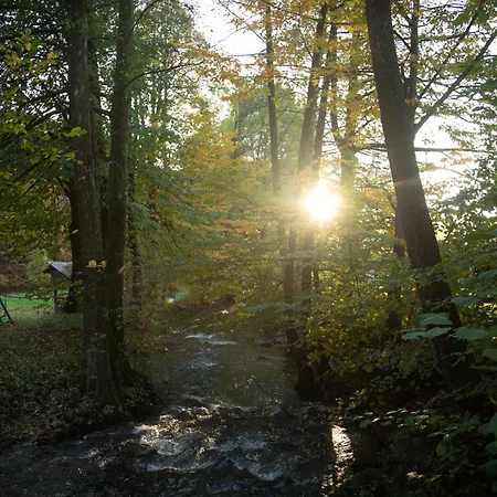 Отель Bogolvar Retreat 3*