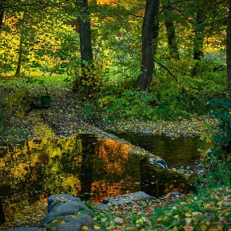 Отель Bogolvar Retreat 3*