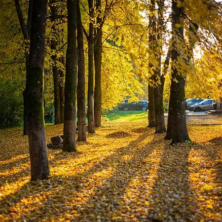 Bogolvar Retreat 3* Анталовцы