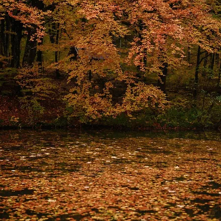 Bogolvar Retreat Antalovtsi