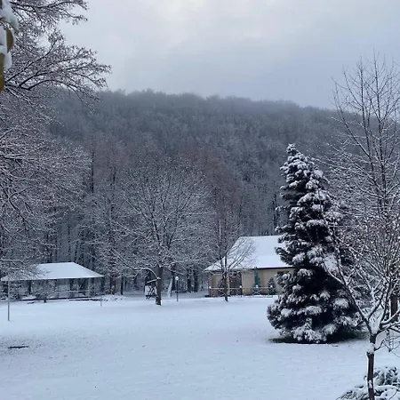 Bogolvar Retreat Hotel 3*