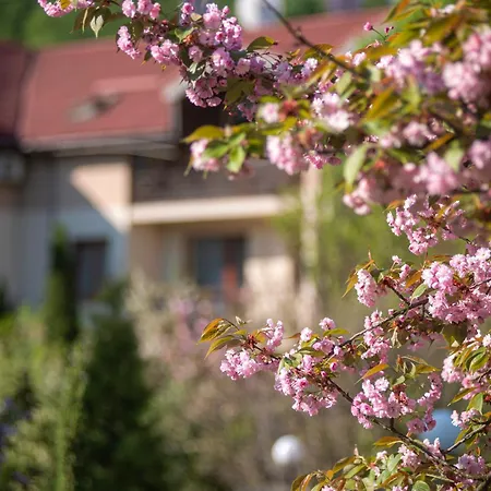 Bogolvar Retreat - для усамітнення 