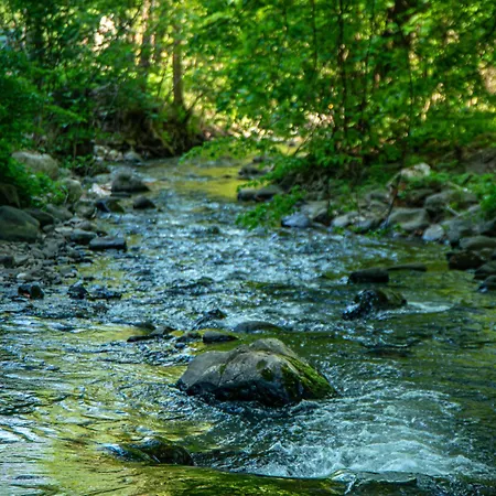 Bogolvar Retreat - для усамітнення 