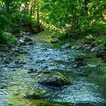 Bogolvar Retreat - для усамітнення 